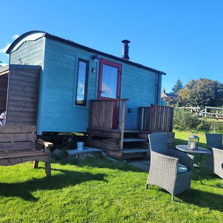 The Shepherds Hut At Forestview Farm Greenisland Eksteriør bilde