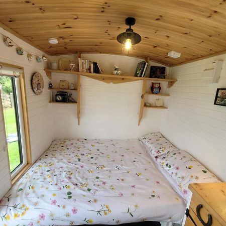 The Shepherds Hut At Forestview Farm Greenisland Eksteriør bilde
