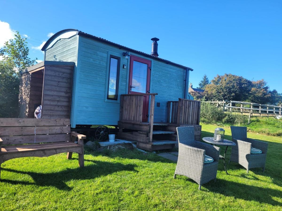 The Shepherds Hut At Forestview Farm Greenisland Eksteriør bilde