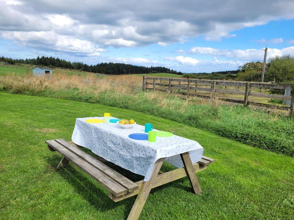 The Shepherds Hut At Forestview Farm Greenisland Eksteriør bilde