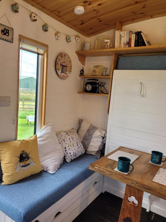 The Shepherds Hut At Forestview Farm Greenisland Eksteriør bilde