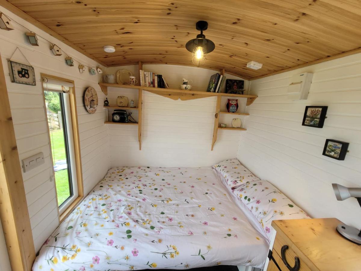 The Shepherds Hut At Forestview Farm Greenisland Eksteriør bilde