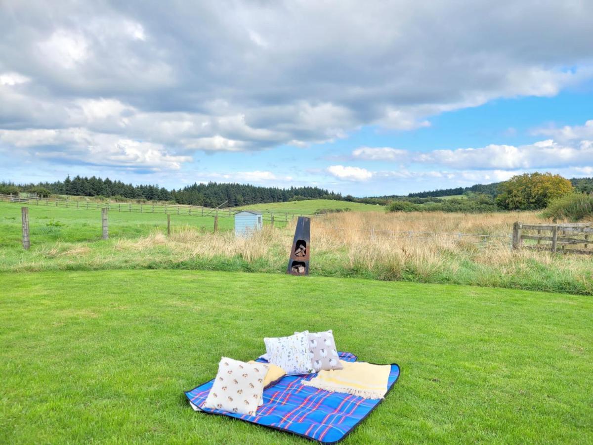 The Shepherds Hut At Forestview Farm Greenisland Eksteriør bilde